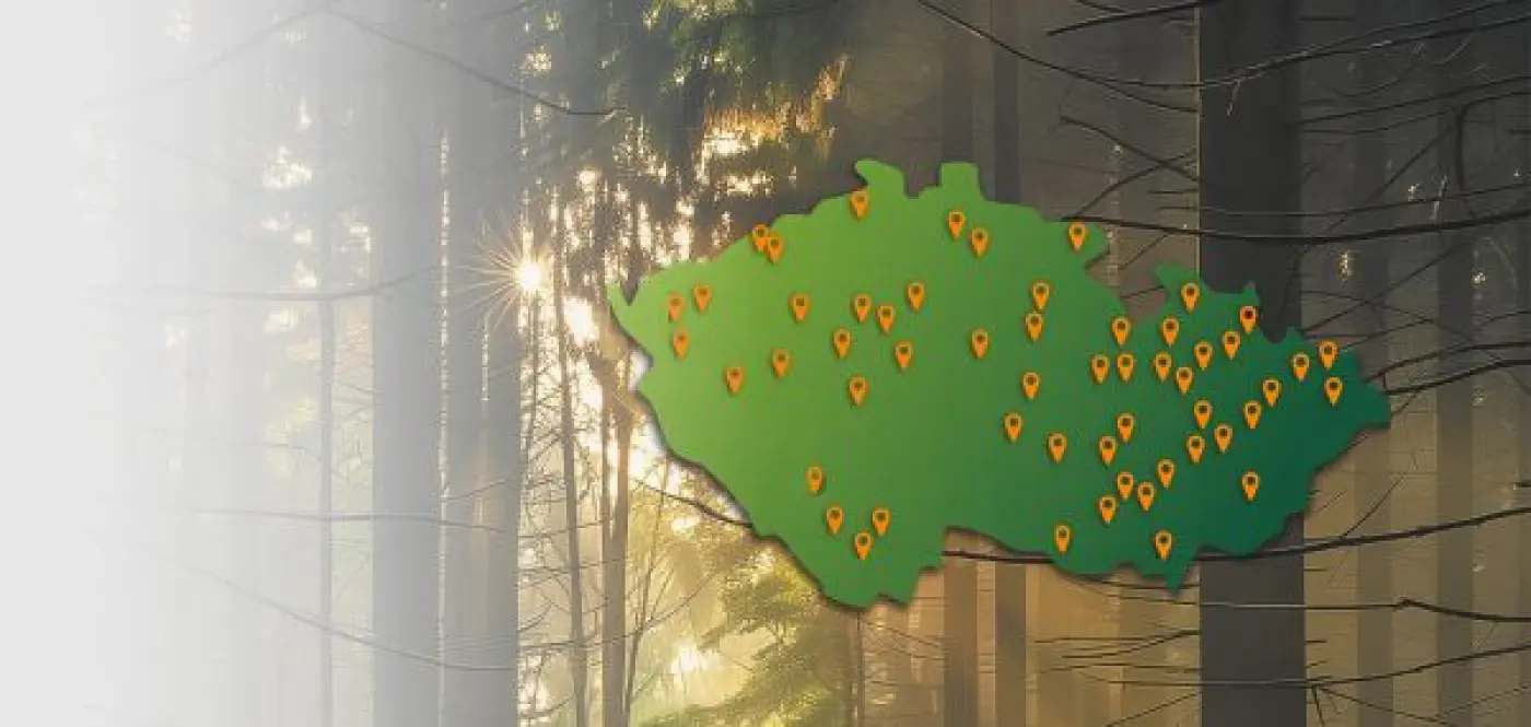 370806001500169-prod